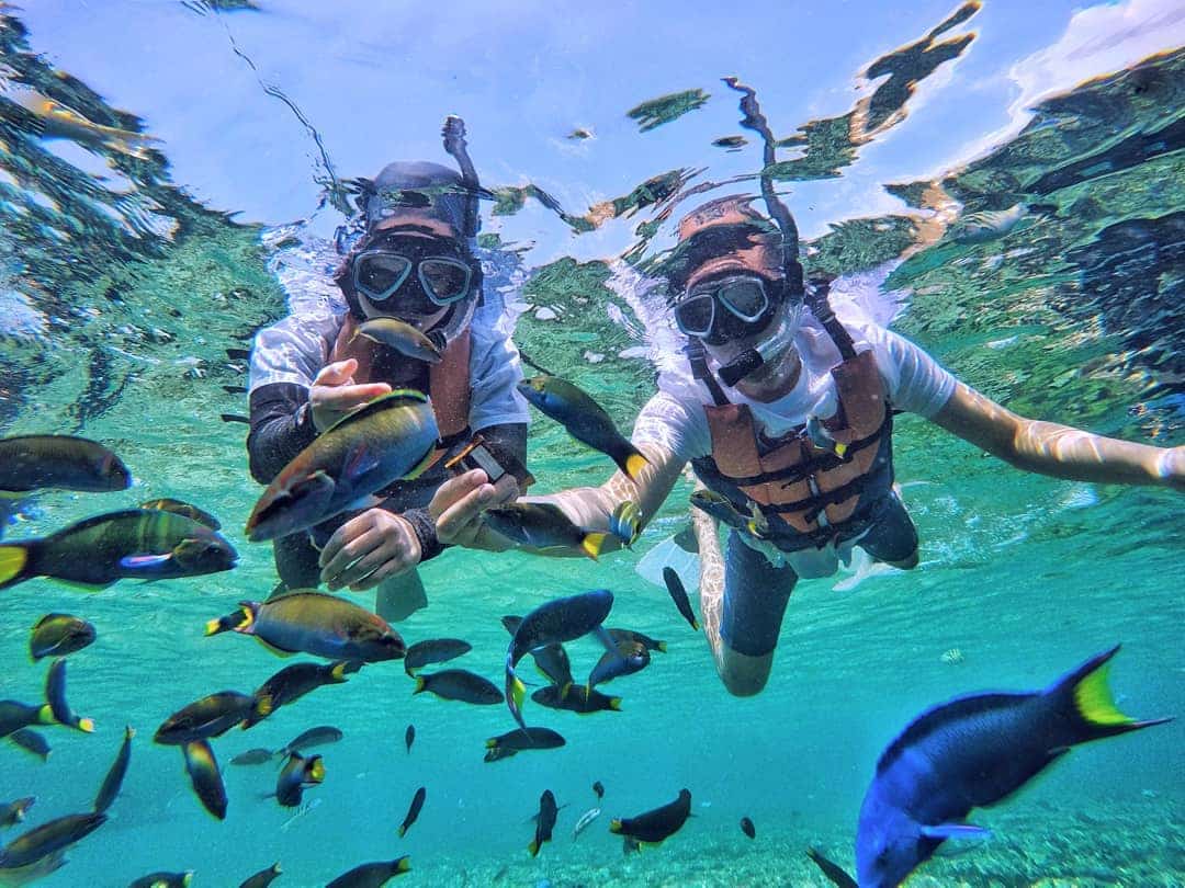 snorkling