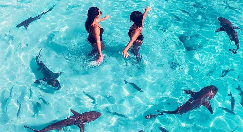 Renang-Bersama-Ikan-Hiu-di-Pantai-Pulau-Menjangan